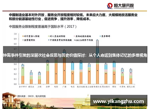 钟离事件引发的深层次社会反思与历史价值探讨：从个人命运到集体记忆的多维视角